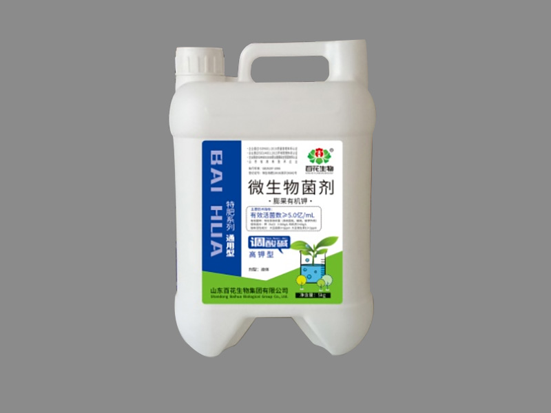 微生物菌劑-膨果有機鉀