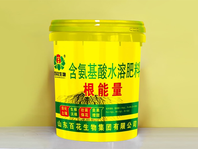 根能量